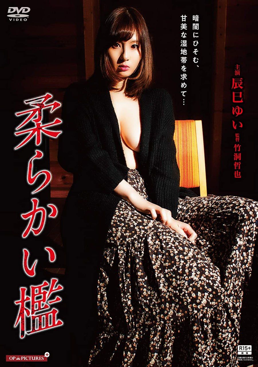 软禁：深浅行动在线观看_日本_2017