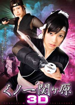 女忍关原在线观看_日本_2010